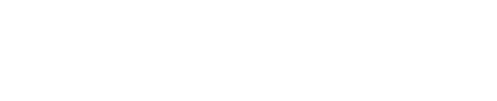Pixelgenau Logo